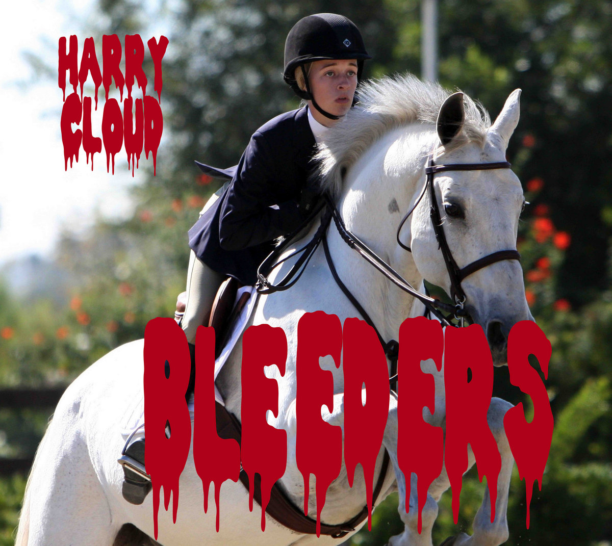 Bleeders, Harry Cloud Music